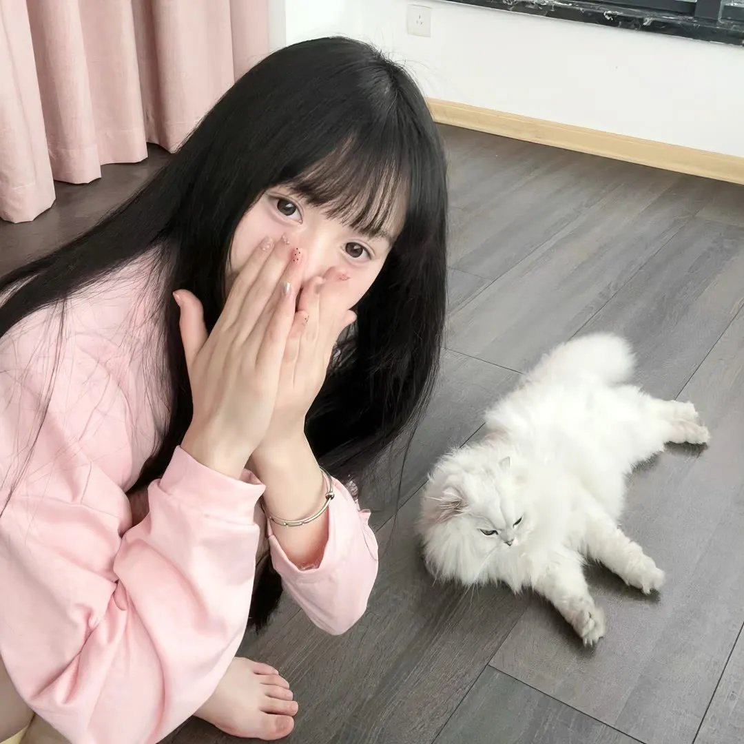 停不了的音乐